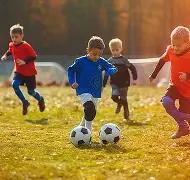双色球神预,期独家揭秘,绝杀红球,大发彩票,大发彩票官方网站,大发快三彩票APP,实时开奖,知识竞猜