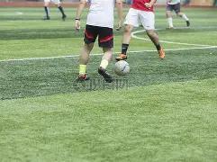 双色球,期独家揭秘,神算子子牙,大发彩票,大发彩票官方网站,大发快三彩票APP,实时开奖,知识竞猜