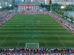 马年财运亨,双色球,期独家策略,大发彩票,大发彩票官方网站,大发快三彩票APP,实时开奖,知识竞猜