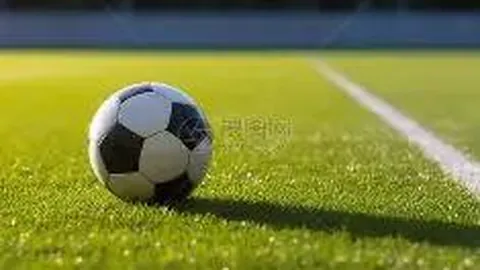 科瑞思被广东证监局要求整改